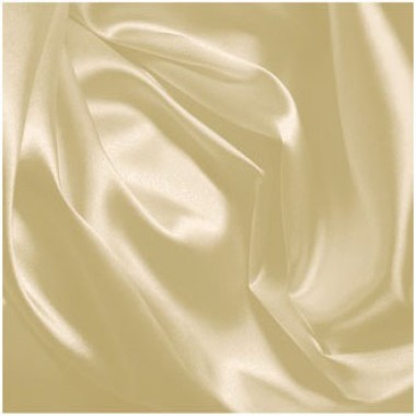 Shop Silky Satin Swatch